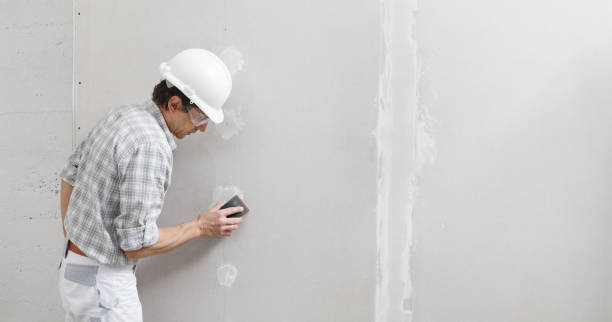 Best Drywall Sanding and Smoothing  in Prices Fork, VA